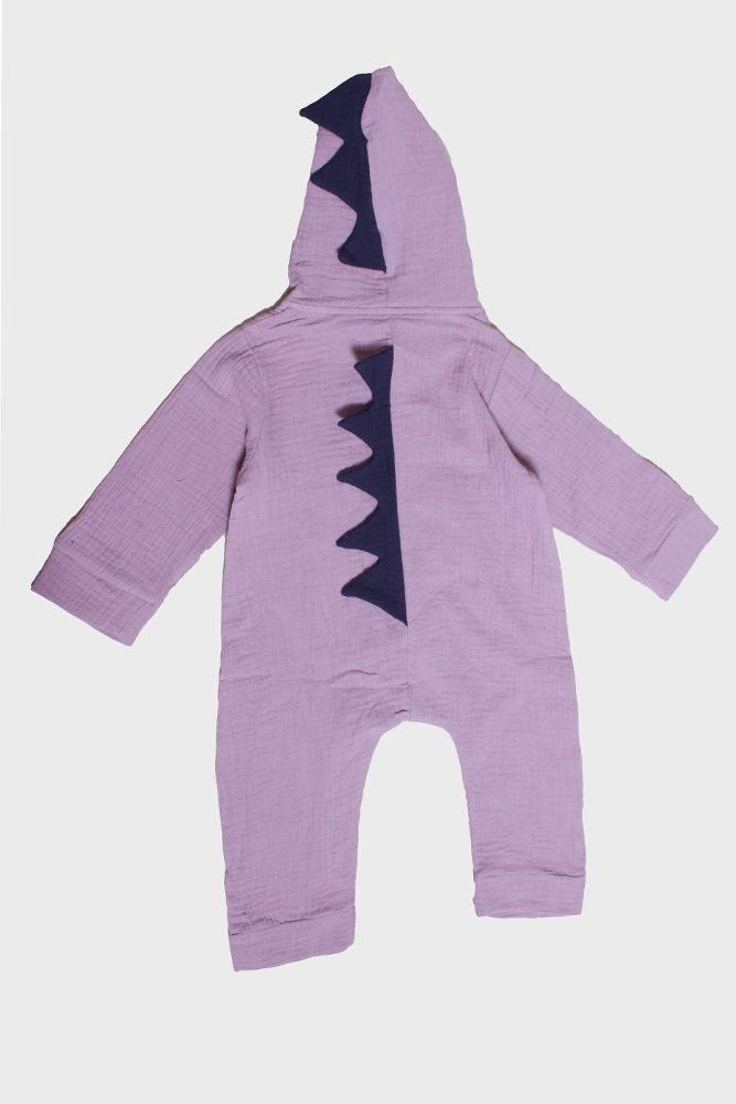 baby dinosaur outfit